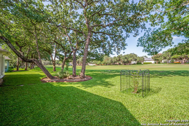 29435 Fairway Bluff, Boerne, Texas image 23