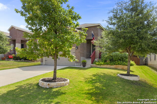 27320 Paraiso Manor, Boerne, Texas image 3