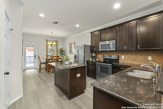 27320 Paraiso Manor, Boerne, Texas image 9
