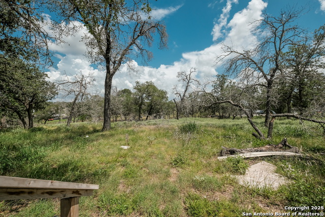 131 Flores Oaks, Floresville, Texas image 24