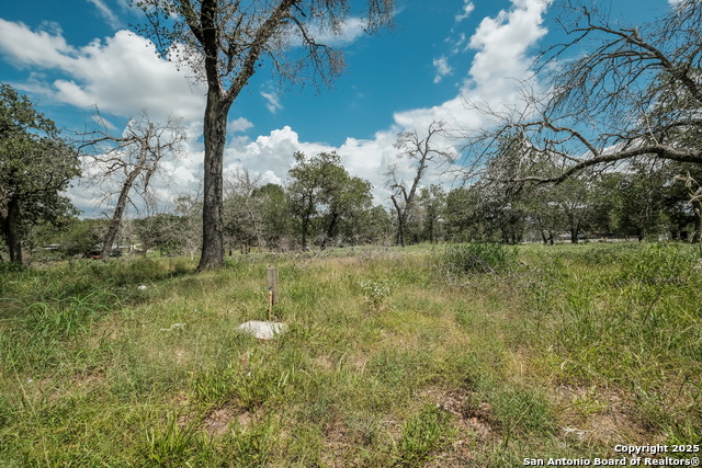 131 Flores Oaks, Floresville, Texas image 25