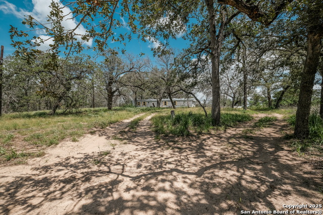 131 Flores Oaks, Floresville, Texas image 3