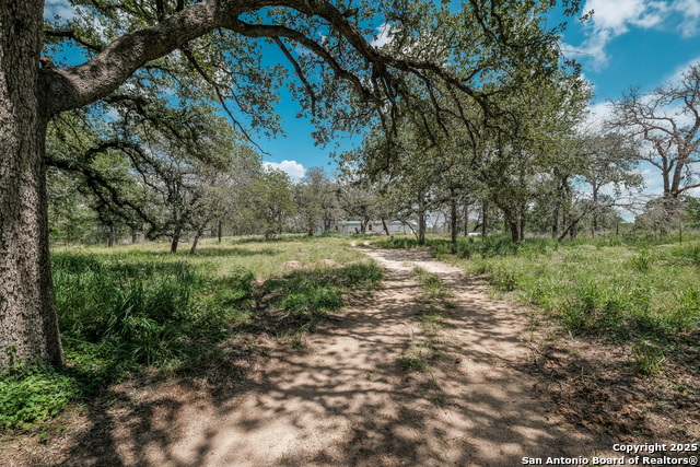 131 Flores Oaks, Floresville, Texas image 4