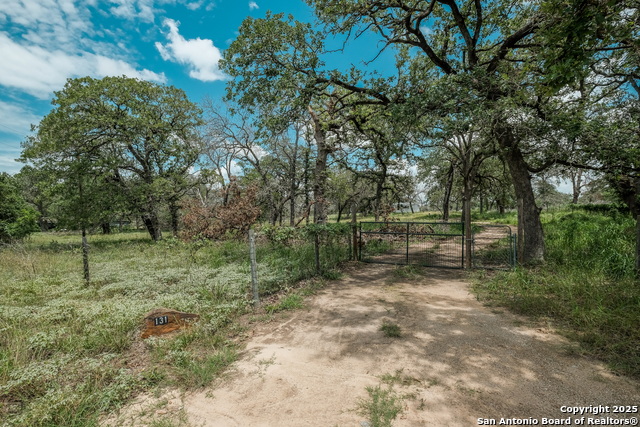 131 Flores Oaks, Floresville, Texas image 5