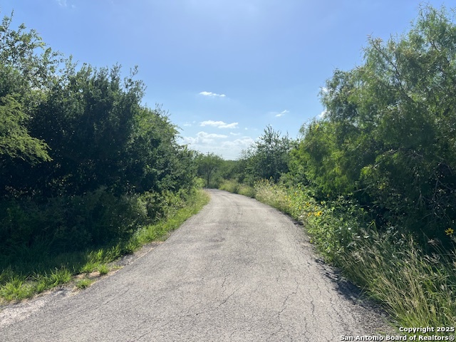 621 Cr 356, Kenedy, Texas image 22