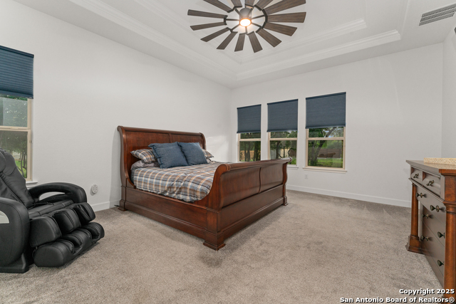 430 James Way, Castroville, Texas image 11
