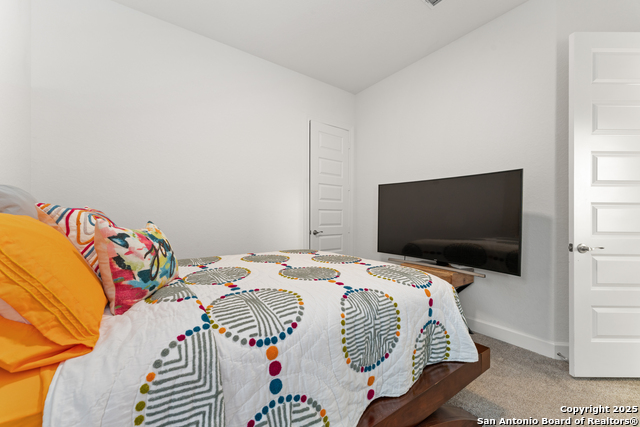 430 James Way, Castroville, Texas image 21