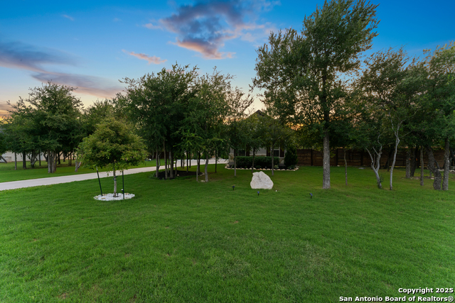 430 James Way, Castroville, Texas image 4