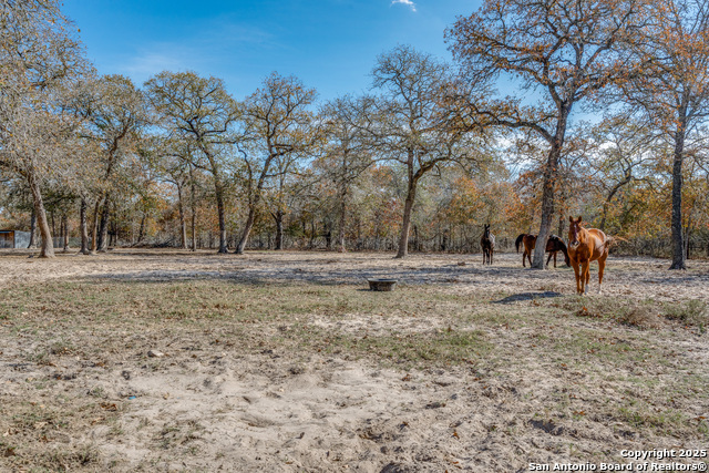 255 Blackjack, La Vernia, Texas image 15