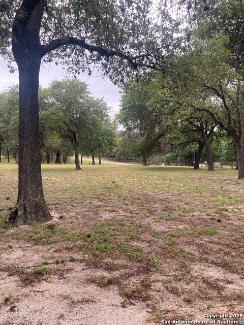 255 Blackjack, La Vernia, Texas image 19