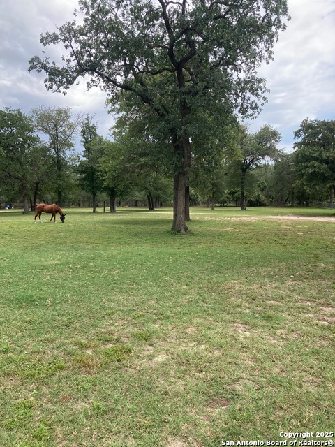 255 Blackjack, La Vernia, Texas image 21