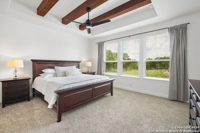 542 Private Road 3702, San Antonio, Texas image 18