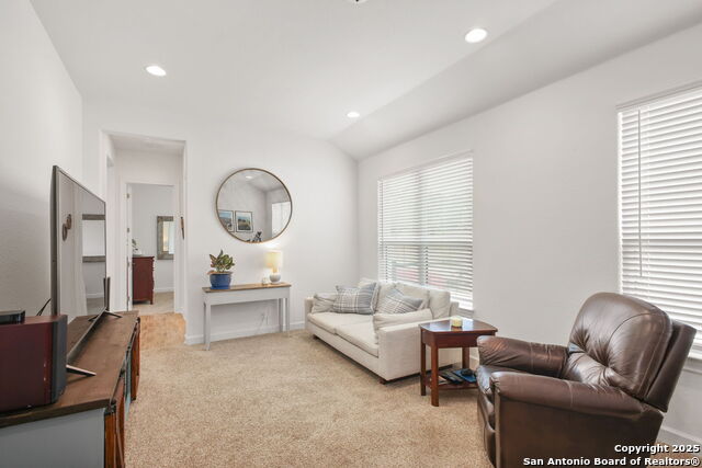 542 Private Road 3702, San Antonio, Texas image 22