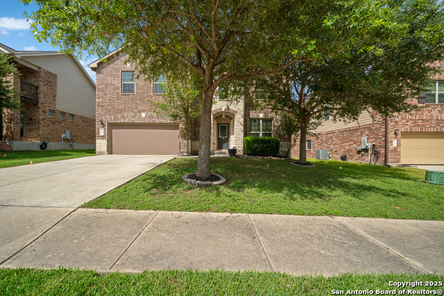 5133 Timber Spgs, Schertz, Texas image 1