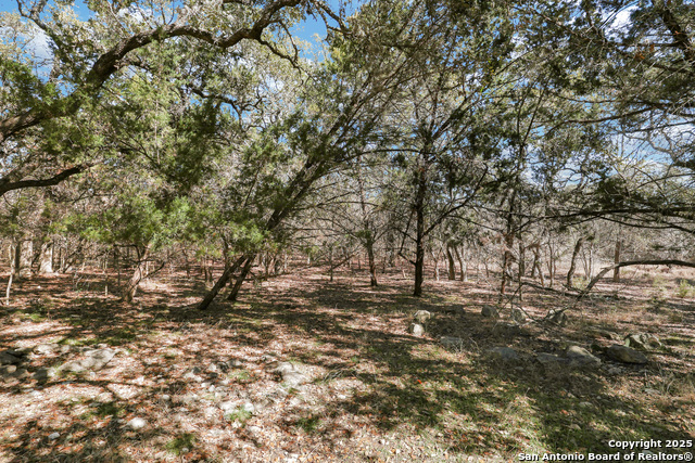 12515 Cascade Hills, San Antonio, Texas image 38