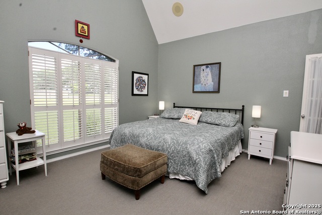 10020 Autumn Wood, Spring Branch, Texas image 20