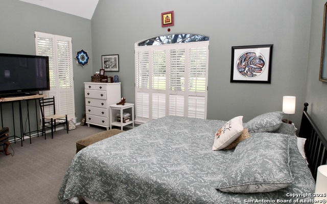 10020 Autumn Wood, Spring Branch, Texas image 21