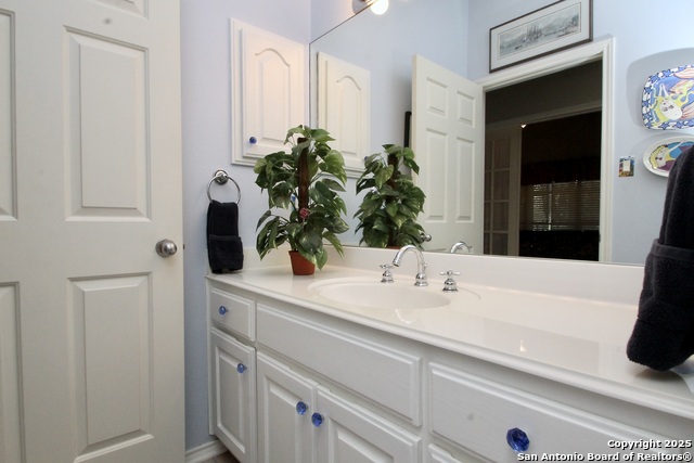 10020 Autumn Wood, Spring Branch, Texas image 27