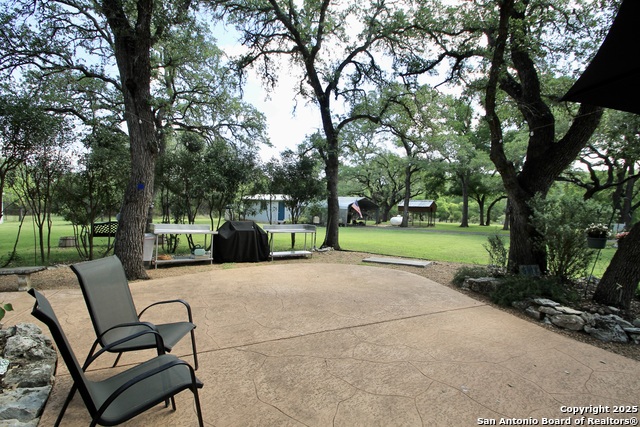 10020 Autumn Wood, Spring Branch, Texas image 30