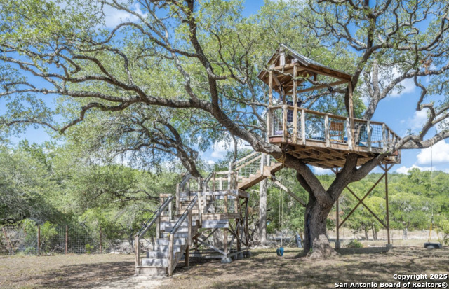 10020 Autumn Wood, Spring Branch, Texas image 31