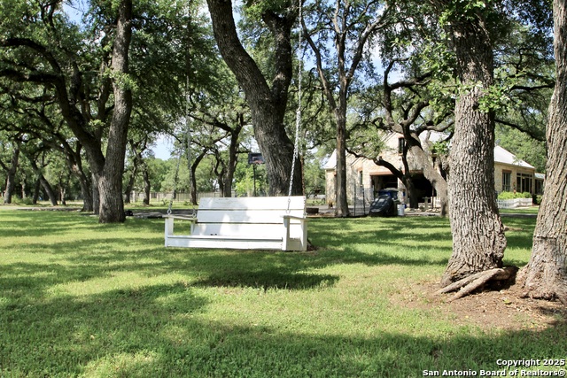 10020 Autumn Wood, Spring Branch, Texas image 34