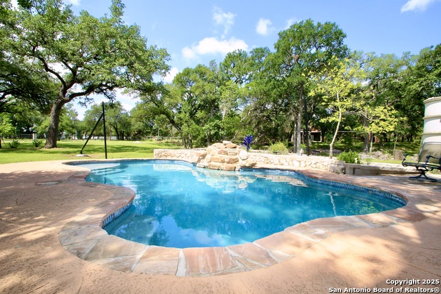 10020 Autumn Wood, Spring Branch, Texas image 4