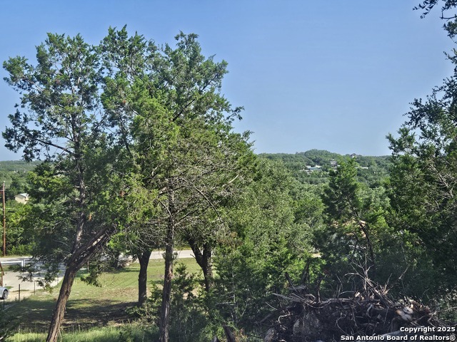 1645 Pecan Circle, Canyon Lake, Texas image 14