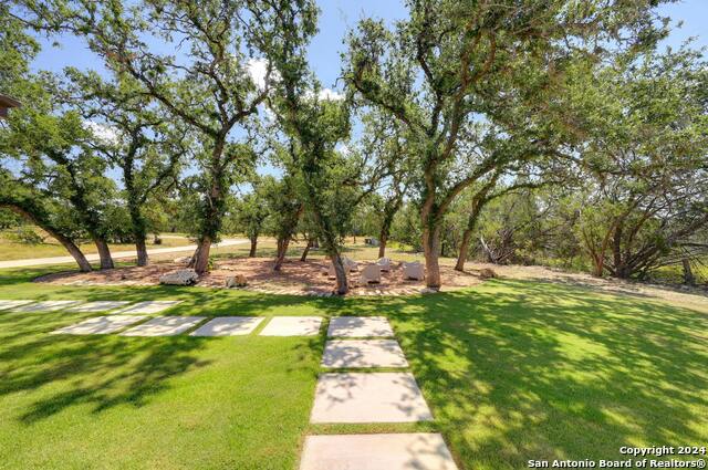 2471 George Pass, Canyon Lake, Texas image 7