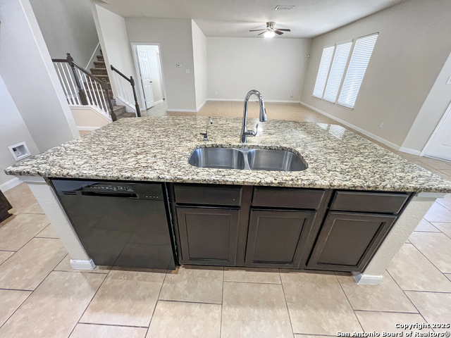 8915 Palmetto Park, Converse, Texas image 11