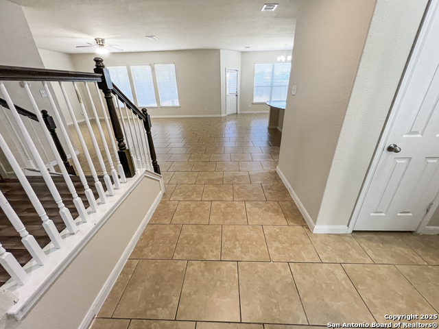8915 Palmetto Park, Converse, Texas image 2