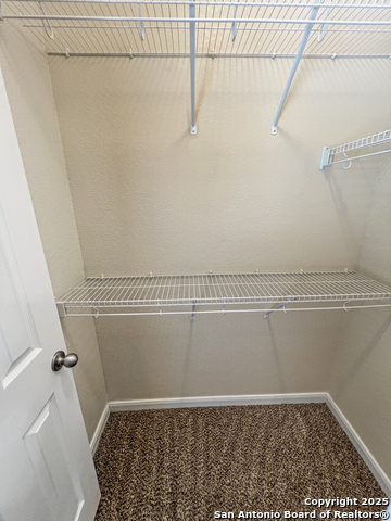 8915 Palmetto Park, Converse, Texas image 31