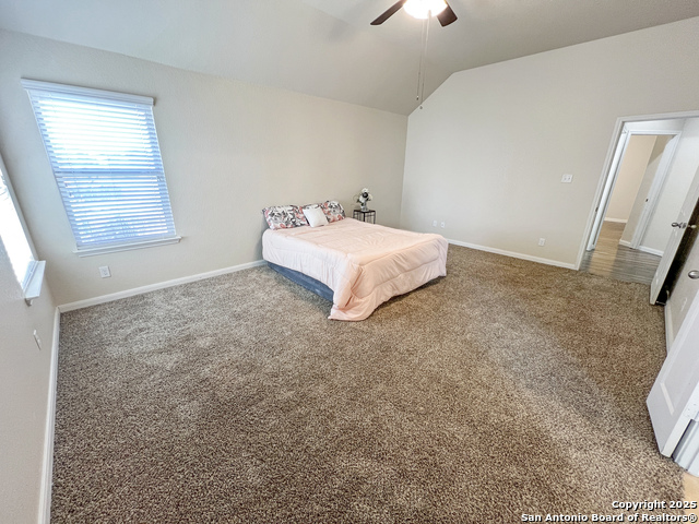 8915 Palmetto Park, Converse, Texas image 39