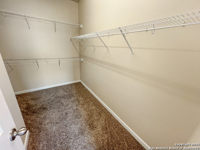 8915 Palmetto Park, Converse, Texas image 45