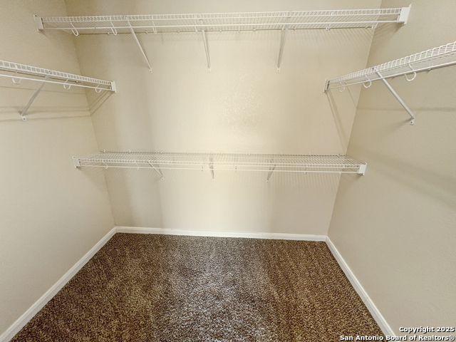 8915 Palmetto Park, Converse, Texas image 46