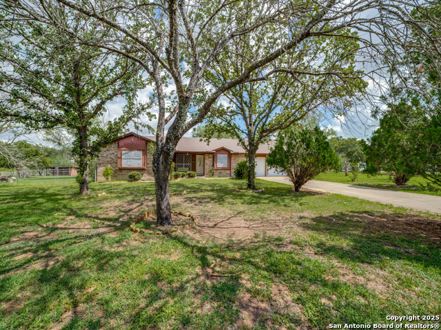 341 Oriente, Pleasanton, Texas image 2