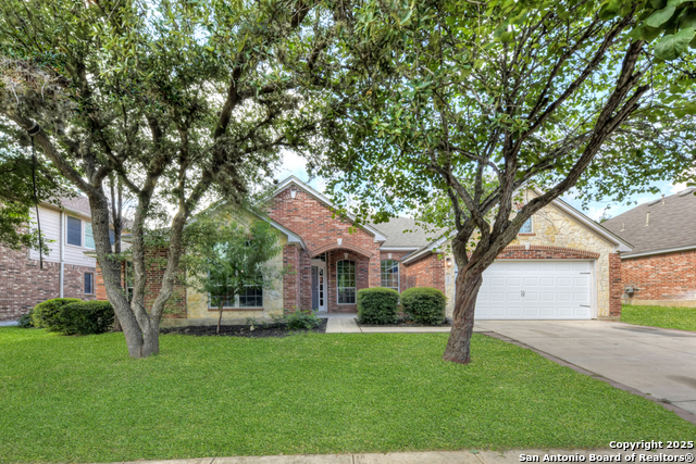 10502 Black Horse, Helotes, Texas image 1