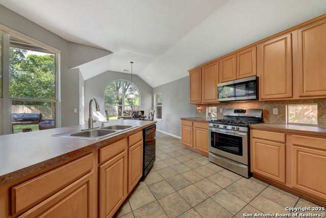 10502 Black Horse, Helotes, Texas image 11