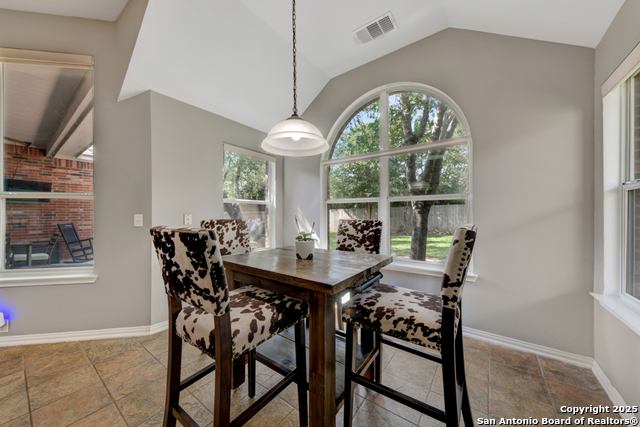 10502 Black Horse, Helotes, Texas image 13
