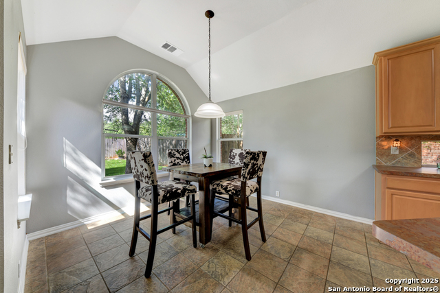 10502 Black Horse, Helotes, Texas image 14
