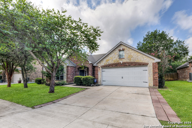 10502 Black Horse, Helotes, Texas image 2