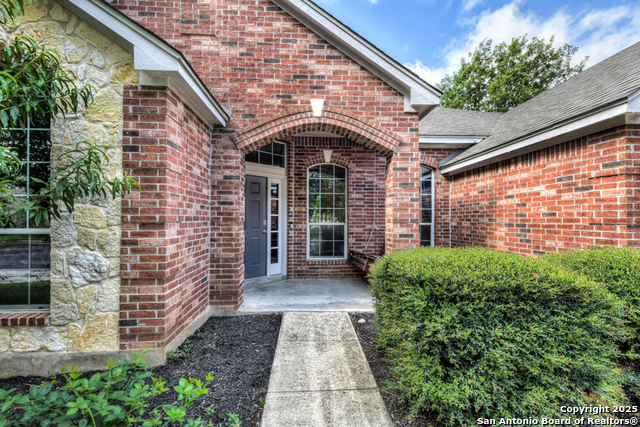 10502 Black Horse, Helotes, Texas image 3