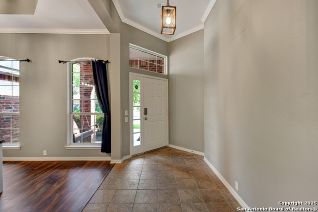 10502 Black Horse, Helotes, Texas image 4