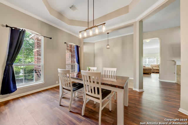 10502 Black Horse, Helotes, Texas image 6