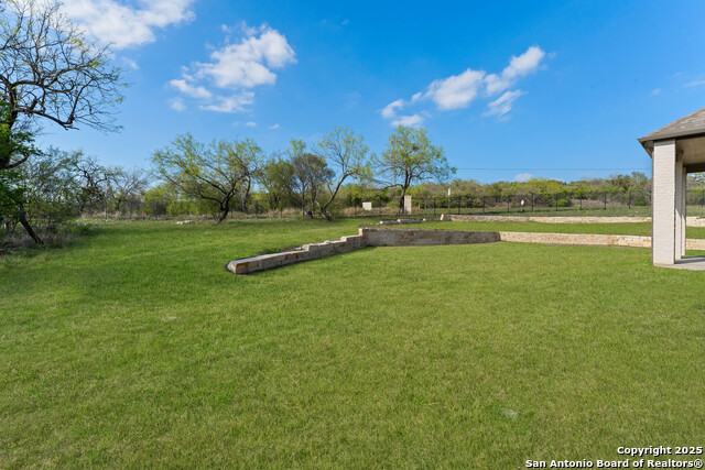9 Cattle, Castroville, Texas image 37