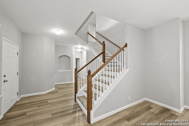 8838 Feather Trl, Helotes, Texas image 6