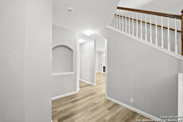 8838 Feather Trl, Helotes, Texas image 7