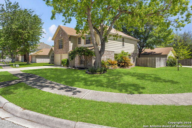1001 Grey Feather, Schertz, Texas image 3