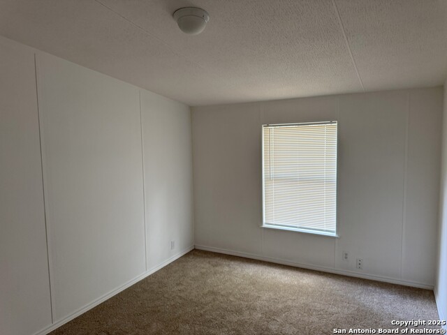 23139 Hickory Shadow, Elmendorf, Texas image 11