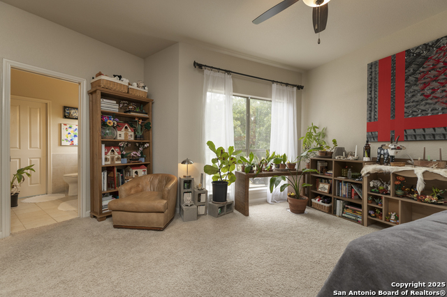 241 Seewald, Boerne, Texas image 30