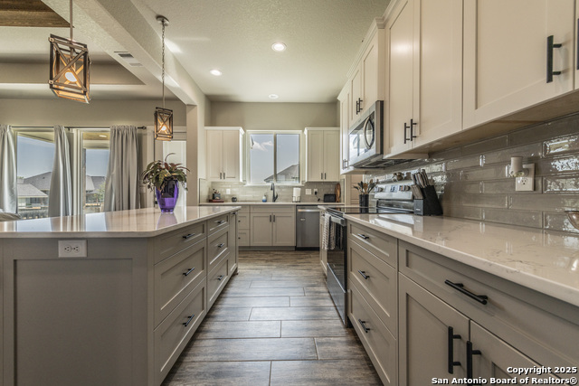 100 N Mahogany Path, La Vernia, Texas image 10